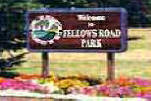 Fellows